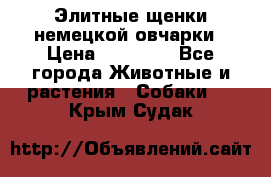 Элитные щенки немецкой овчарки › Цена ­ 30 000 - Все города Животные и растения » Собаки   . Крым,Судак